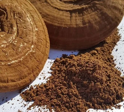 ریشی مشروم ایکسٹریکٹ مینوفیکچررز: نکالنے کے عمل اور طاقت کی جانچ
