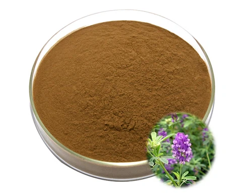 Medicago sativa extract Medicago sativa extract