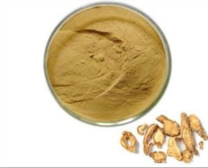 ساپوشناکووای بیغ