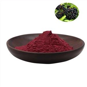 ایلڈربیری نچوڑ پاؤڈر