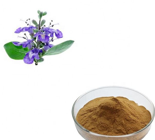 چیسٹی بیری وائٹیکس ایکسٹریکٹ