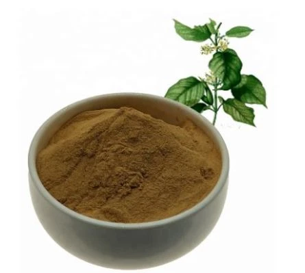 جمنیما سلویسٹری نچوڑ