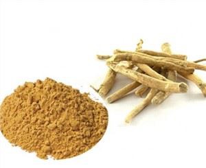 اشوگندھا جڑ پاؤڈر نامیاتی