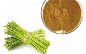 ایسپراگس پاؤڈر