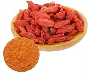 خشک وولف بیری پاؤڈر کو منجمد کریں۔