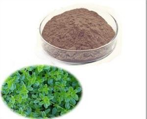 تھائم پاؤڈر