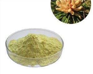 پیلا پائن پولن پاؤڈر