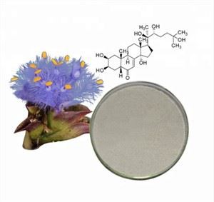 بیٹا ایکڈیسٹرون