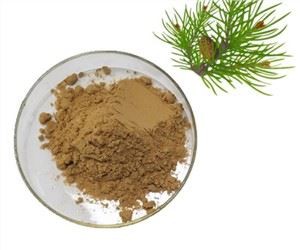 پائن نیڈلز ایکسٹریکٹ